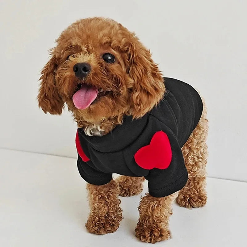 Warm Dog Clothes Windproof Autumn Winter Dog Hoodies for Small Dogs Cats Fashion Teddy Bichon Yorkshire Costume Pet Supplies