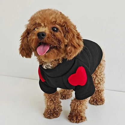 Warm Dog Clothes Windproof Autumn Winter Dog Hoodies for Small Dogs Cats Fashion Teddy Bichon Yorkshire Costume Pet Supplies