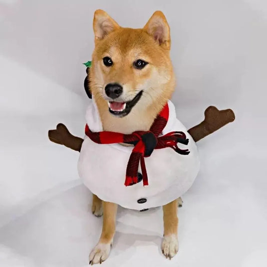 Comfortable Cute Santa Claus Dog Outfit Breathable Pet Dress Up Cats Christmas Clothes Soft Funny Dog Winter Clothes Autumn