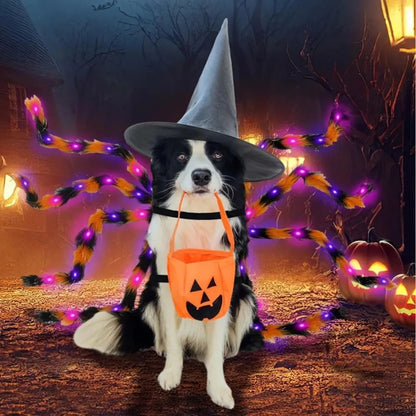 Large Dog Halloween Costume Spider Costume with LED Purple Lights Funny for Dogs Pets Clothes Puppy Outfits Cosplay Party Decor