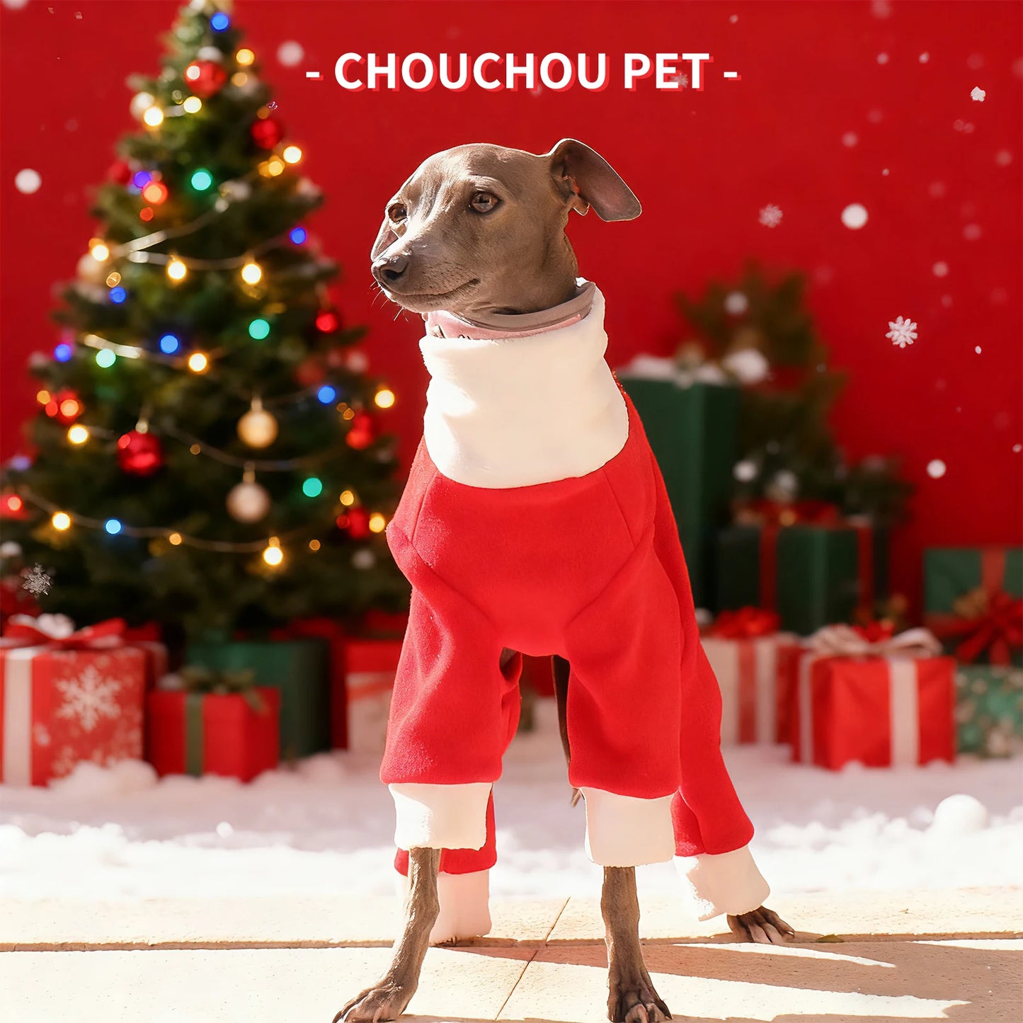 Christmas pet dog clothes suitable for Italian Greyhound Whippet sighthounds as New Year's gifts
