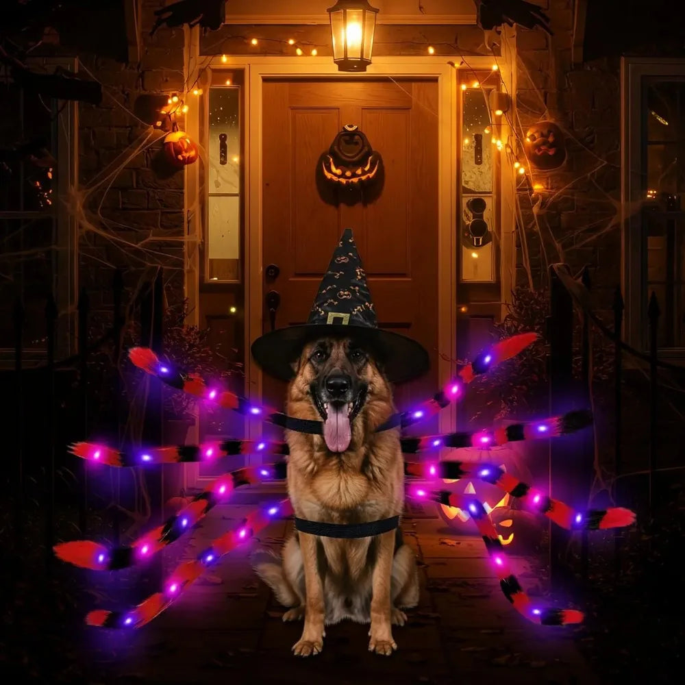 Large Dog Halloween Costume Spider Costume with LED Purple Lights Funny for Dogs Pets Clothes Puppy Outfits Cosplay Party Decor