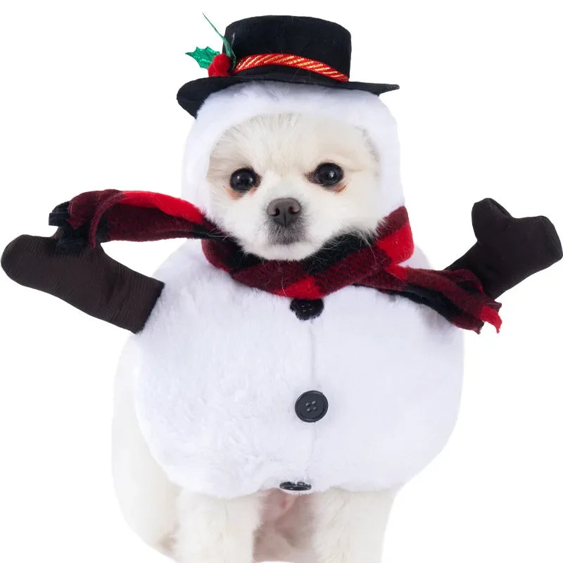 Funny Pet Halloween Dog Clothes Costume Small Dog Jacket Creative Outfit for Teddy Cats  Costume Dog Clothes for Small Dogs