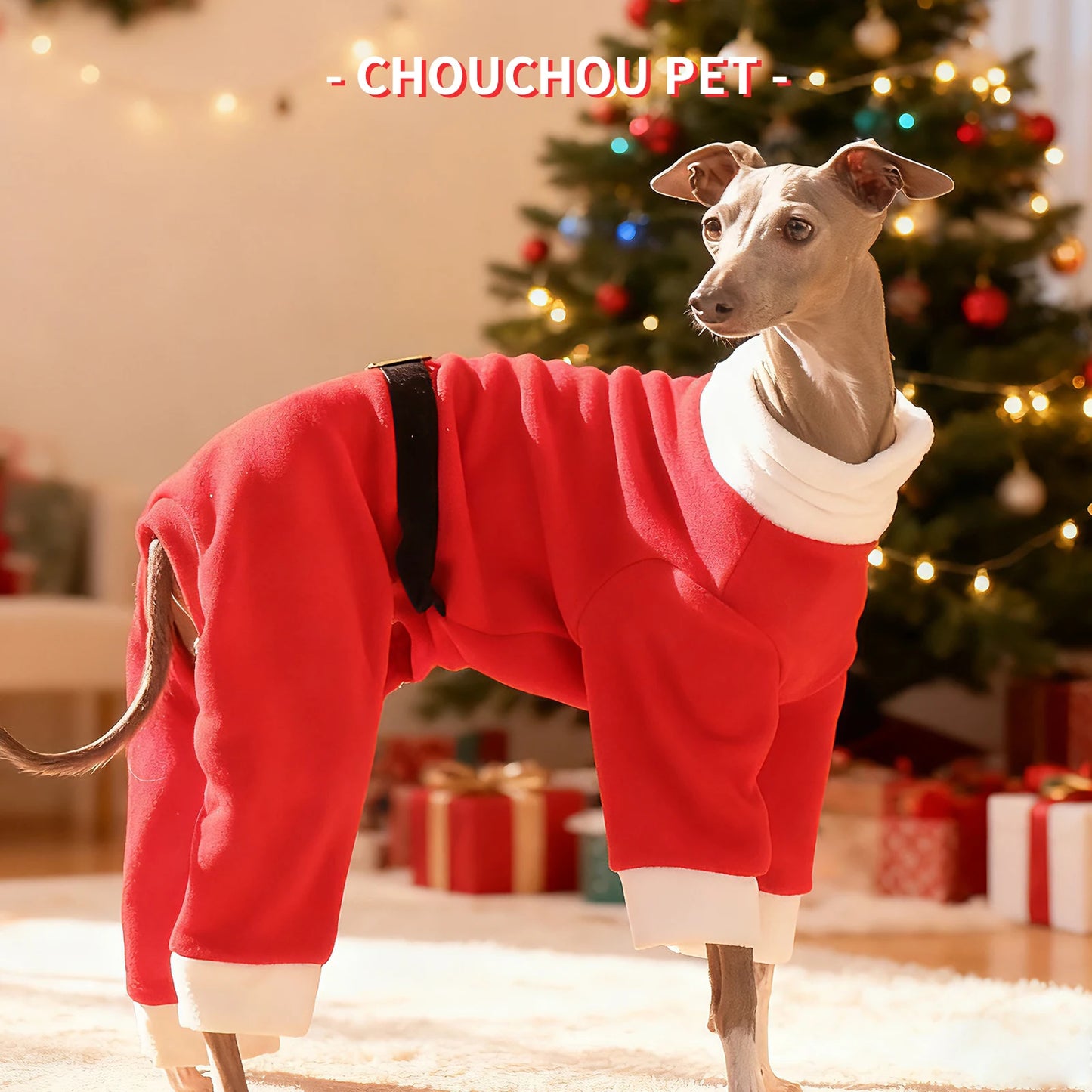 Christmas pet dog clothes suitable for Italian Greyhound Whippet sighthounds as New Year's gifts