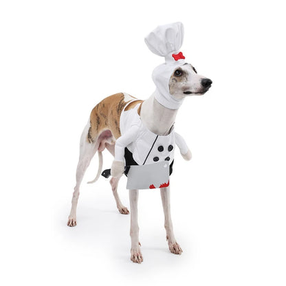 Halloween Dog Clothes Funny Pet Cat Dogs Clothes Chef Transformation Large Dog Clothing Cute Creative Puppy Kitten Pets Costume