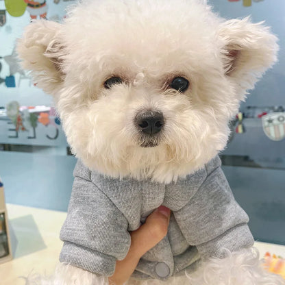 Clothes for Small Dogs Teddy than Bear Dog Clothes Autumn and Winter New Add Velvet Warm Warm Letter R Hoodie