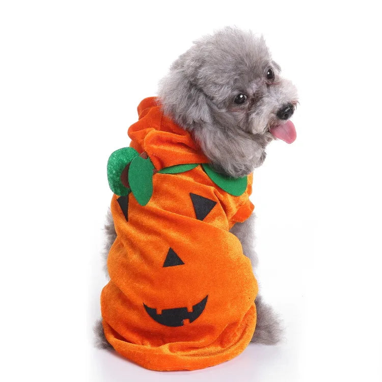 Christmas Dog Costumes Wedding Suit Halloween Funny Dress for Small Dogs Cats  French Bulldog Chihuahua Clothes