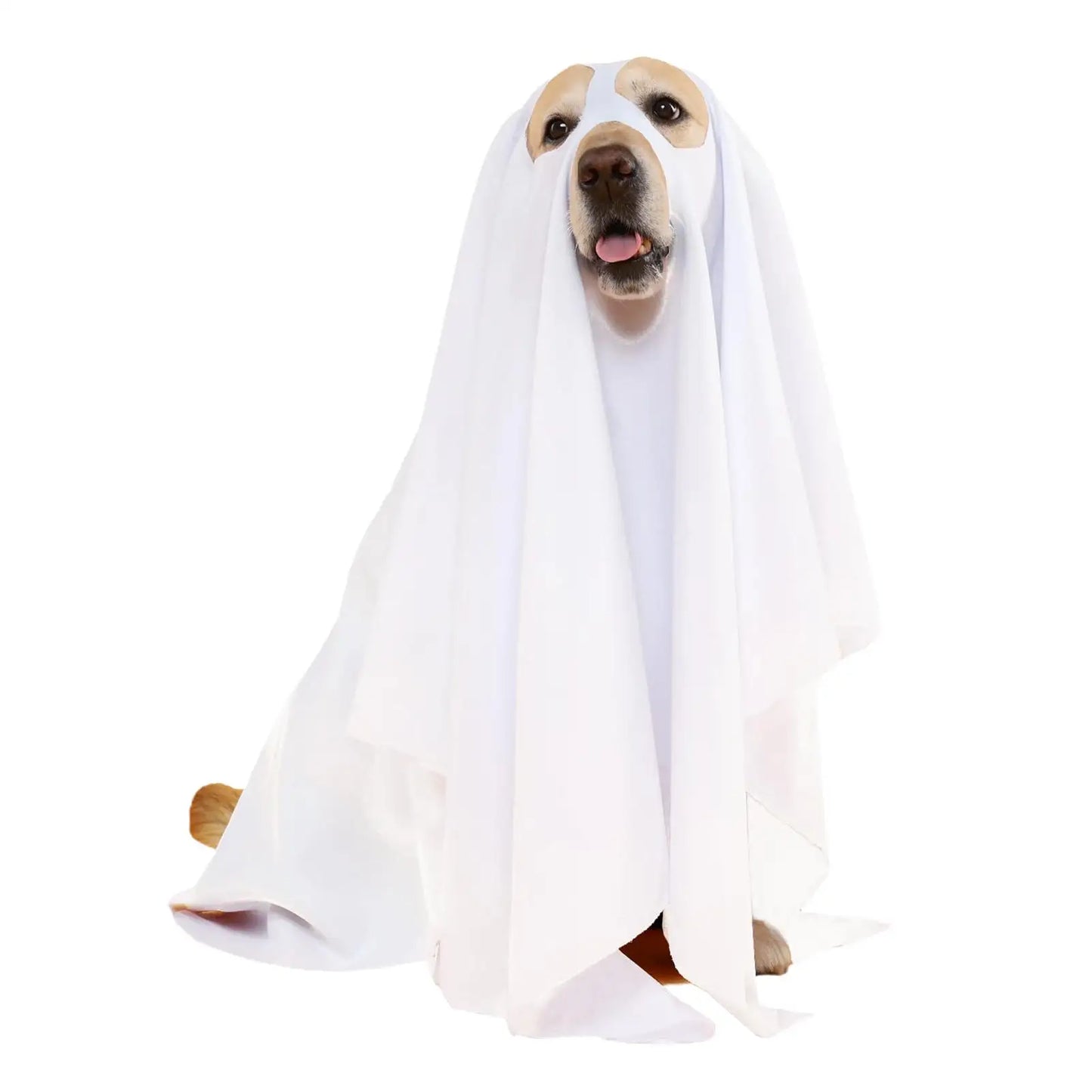 Halloween Ghost Dog Costume horror dog cosplay dress up ghost decoration pet supplies cape headgear pet transformation costume