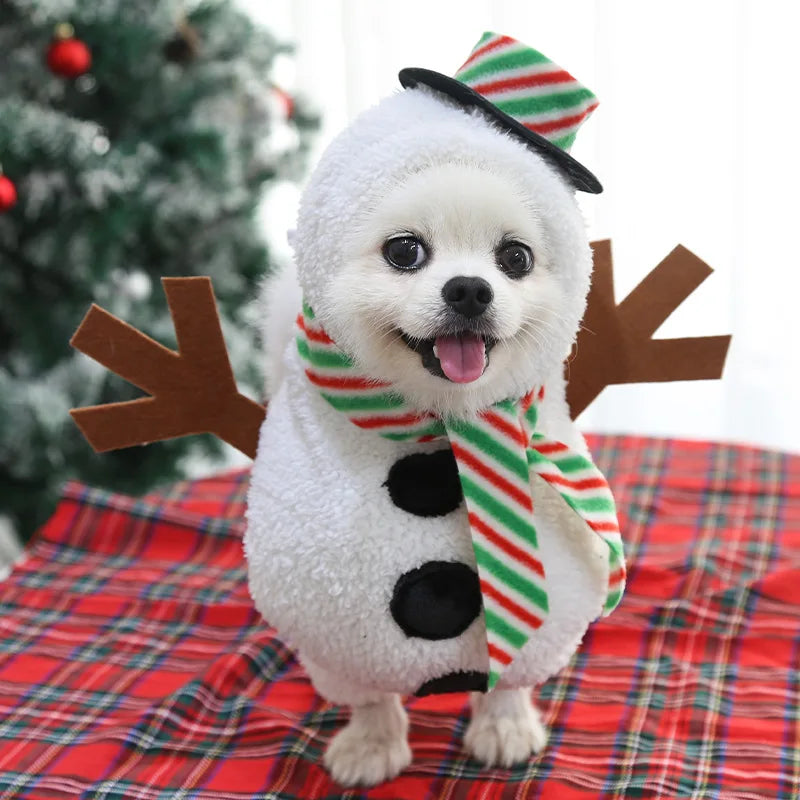 Cartoon Dog Clothes Halloween Costumes Dogs Small, Medium and Big Dog Christmas Pet Clothes Funny Autumn and Winter Clothes