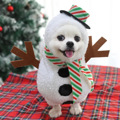 Cartoon Dog Clothes Halloween Costumes Dogs Small, Medium and Big Dog Christmas Pet Clothes Funny Autumn and Winter Clothes
