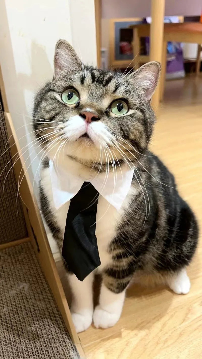 Cosplay Dogs Cloak Cape Magic Academy British Dogs Cloak Cos Embroidery Teddy Small Cat Pet Clothes Winter Fashion Pets Supplies